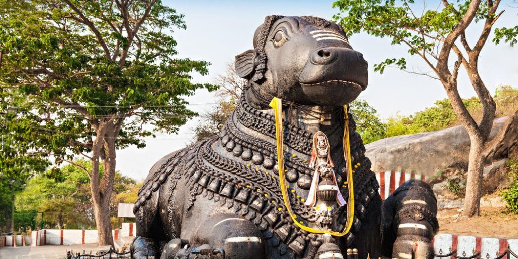 Wonderla Amusement Park